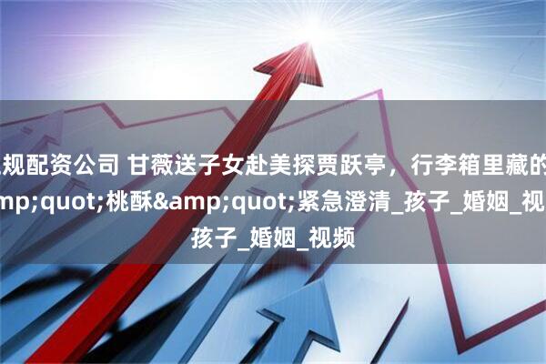 正规配资公司 甘薇送子女赴美探贾跃亭，行李箱里藏的"桃酥"紧急澄清_孩子_婚姻_视频