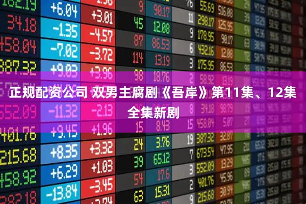 正规配资公司 双男主腐剧《吾岸》第11集、12集全集新剧